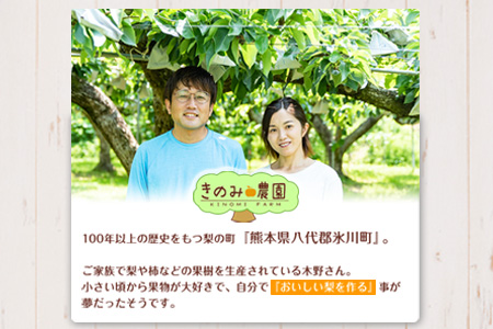 きのみ農園の吉野梨（幸水）3kg 6個～7個 熊本県氷川町産 きのみ農園《7月下旬-8月上旬頃出荷》