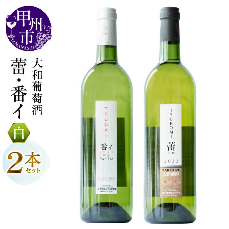 【ふるさと納税】 ワイン 2本 セット 白ワイン 蕾 番イ 辛口 甲州 シュールリー ワイナリー 甲州ワイン 大和葡萄酒 飲み比べ 12％ 山梨県 甲州市 ギフト 贈答 （MG） 【B15-691】
