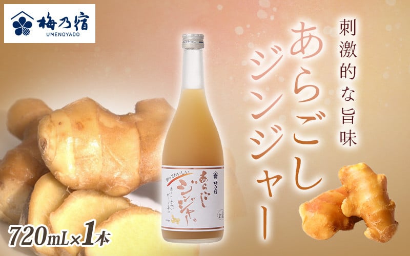 
梅乃宿 あらごしジンジャー ７２０ｍｌ ／ ジンジャー リキュール スパイシー 国産 すりおろし しょうが 爽やかな 香り 奈良県 葛城市
