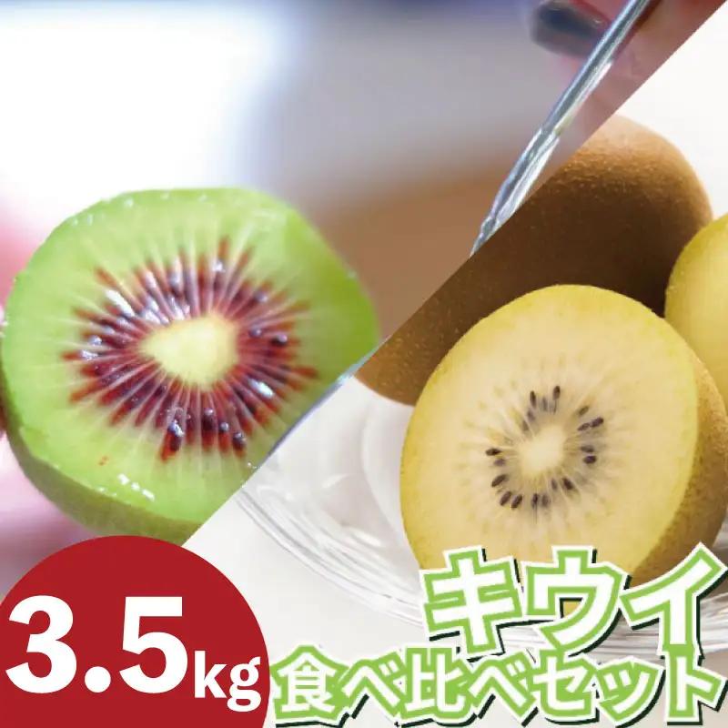 訳あり キウイフルーツ 食べ比べ 3.5kg 先行予約 2026年10月上旬～ キウイ