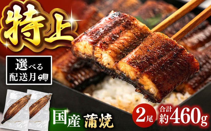 
            鹿児島産 うなぎ 蒲焼 2尾セット ▼ 国産 うなぎ 鰻 ウナギ 蒲焼 うなぎ 蒲焼き 肉厚 うなぎ うなぎ ウナギ 鰻 冷凍 特大 希少 鰻 うなぎ ウナギ 鰻 人気 ウナギ うなぎ おすすめ ランキング うなぎ おいしい うなぎ かばやき うなぎ 高級 特別 贅沢 うなぎ ウナギ 鰻 ひつまぶし うなぎ ウナギ 夏 鰻 九州 福岡 桂川町/山水商事 [ADAH008]
          