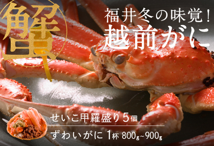 【産地直送】先行予約！　福井冬の味覚！越前がに（ずわいがに活 800～900g 1杯） ＆ せいこ甲羅盛り5個　2024年11月15日以降発送