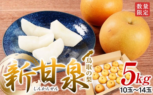 
                  梨 新甘泉梨 5kg ( 5kg × 1箱 )｜梨 なし 新甘泉梨 新甘泉 5kg 果物 フルーツ ナシ 甘い 果汁 和梨 箱 甘み くだもの 国産 果実 鳥取県 三朝町
                