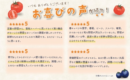 直売所からお届け！旬の野菜セット（8～10品詰め合わせ）JA 新鮮な野菜直送便 糸魚川 新潟 【大根･白菜･春菊･アスパラ菜･しいたけ･ほうれん草･ふきのとう･タラの芽･山菜･にんじん･イチゴ･トマト