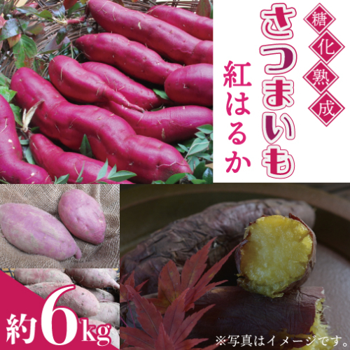 ＼蜜あふれるねっとり系／山崎観光農園の紅はるか 約6kg｜栃木県 益子町 ふるさと納税 里山 熟成 さつまいも 糖化熟成さつまいも 紅はるか プレミアム 蜜芋 (AU001-2)