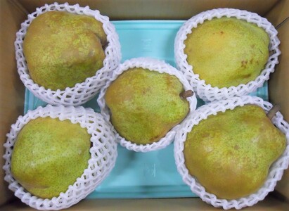 西洋梨（ラ・フランス）３ｋｇ×２箱　大玉　ご家庭用　0017-2520