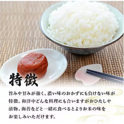 ふるさと納税 稲敷市 【令和7年産】稲敷市産「つきあかり」無洗米10kg(5kg×2p) |  | 02