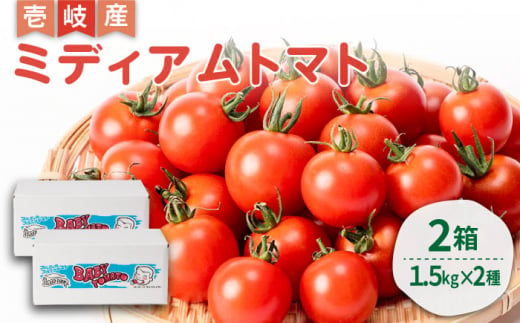 ミディアムトマト バラ 2箱（1.5kg×2種）《壱岐市》【ISLAND FARM】 トマト 生鮮 野菜 夏 21000 21000円 [JFL002]