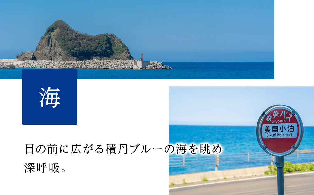 北海道 積丹町 ALL IN BIKUNI 食事 ・ 宿泊 利用券 40,000円分 食事券 宿泊券 積丹 ギフト