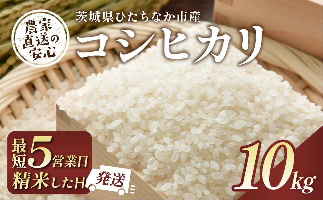 
                  【令和7年産】【5営業日以内配送】 コシヒカリ 精米 10kg 茨城県ひたちなか市産  | コシヒカリ こしひかり 米 お米 おこめ こめ 白米 精米 ごはん ご飯 コシヒカリ 稲作一筋 こしひかり  コシヒカリ厳選米 茨城県産 こしひかり 産地直送 国産 ブランド米 甘みが強い ふっくら 艶やか 茨城県 ひたちなか市
                