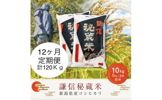 令和7年産 新潟県産 コシヒカリ 定期便（10kg×12回分） 謙信秘蔵米 真空 窒素挿入 冬眠パック 精白米 お米 上越市 上越産 上越米 上杉謙信