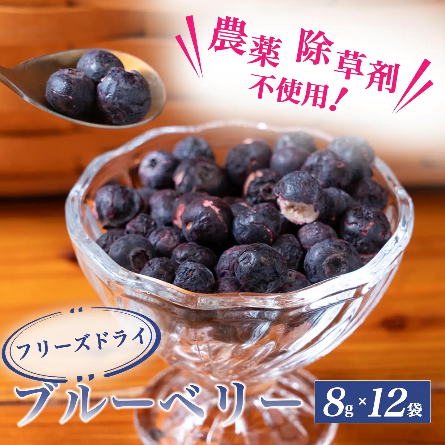 トムのぱくぱくフリーズドライブルーベリー 8g×12袋 ベリー