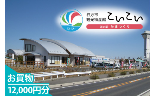 CT-23　行方市観光物産館「こいこい」お買物12,000円分