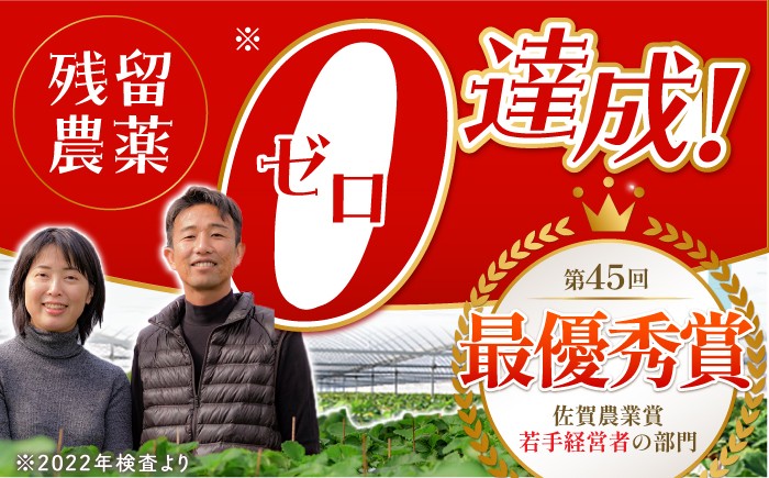 いちごさん・さがほのか 500g ( 約250g×2パック )  [HAF032] いちご 苺 イチゴ 果物 くだもの フルーツ