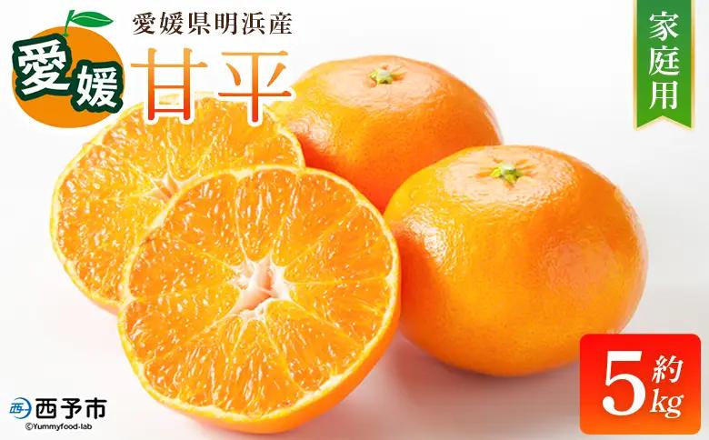 【先行予約】＜甘平 家庭用 約5kg＞ ご家庭用 かんぺい 高級 柑橘 ブランド みかん 蜜柑 訳あり 果物 くだもの フルーツ ミカン 愛媛 国産 ジューシー 明浜 特産品 笑丸 愛媛県 西予市【常温】『2027年2月上旬より順次出荷予定』AAN0078