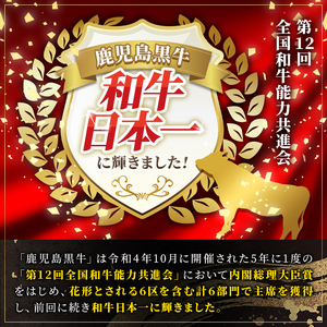 【G01005】＜定期便・全12回(連続)＞鹿児島黒牛 満足定期便・贅沢満喫セット(全6種・合計11.8kg) 鹿児島黒牛 モモ サーロイン ロース 薄切り カルビ 赤身 ヒレ ステーキ 焼肉 食べ比