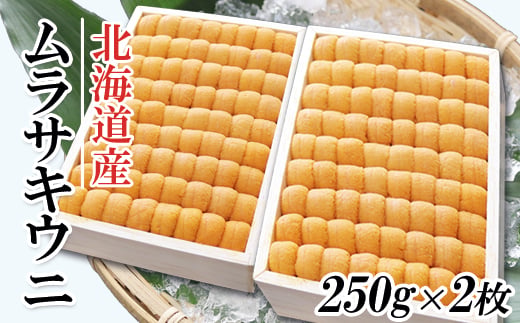 D-53013 ムラサキウニ250g×2折