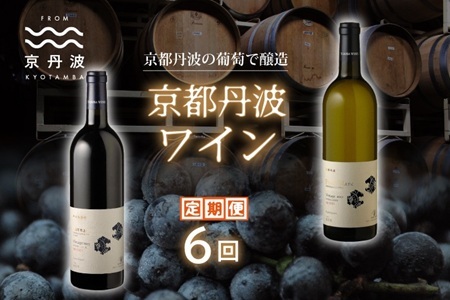 【定期便】丹波ワイン 6カ月 定期便 