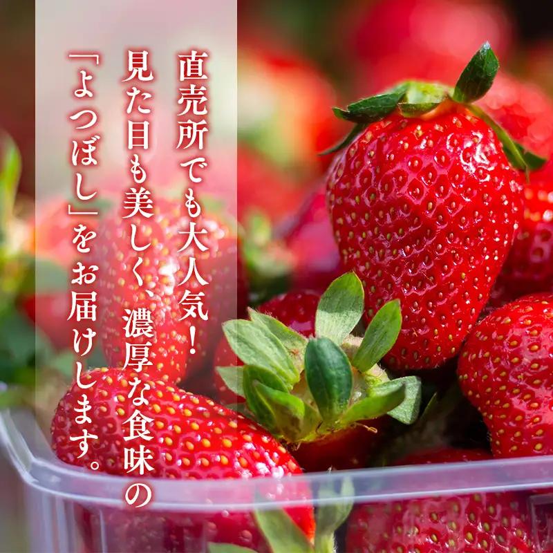 いちご よつぼし 約200g×4パック 【hi-0028-006】