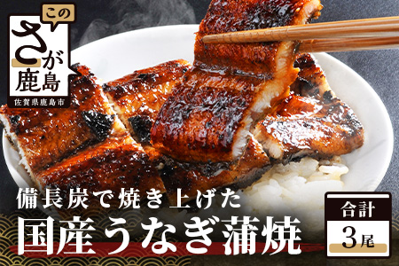 国産 うなぎの蒲焼　３尾入り  |大型サイズ 国産 鰻 ウナギ 蒲焼き タレ付き 密封パック入り 佐賀県 鹿島市 冷蔵 E-5