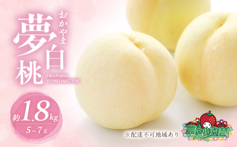 桃 2025年 先行予約 おかやま 夢 白桃 約1.8kg 5～7玉 進物用 もも モモ フルーツ 果物 岡山 赤磐市産 農マル園芸 あかいわ農園 白鳳 家庭用 