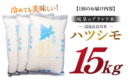 【3回定期便】【11月発送】【R7年産】 岐阜 ハツシモ 15kg 名水 100選に選ばれた 長良川 中流の水で育った 「清流長良川米」 すし飯 冷めても美味しい 米 岐阜市 / 森ライス[ANCU0
