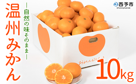 ＜温州みかん 約10kg＞ 選べる 柑橘 みかん ミカン 蜜柑 果物 くだもの フルーツ オレンジ うんしゅうみかん 国産 愛媛県産 特産品 おれんじはーと 食べて応援 西宇和 愛媛県 西予市 【常温】『2025年11月中旬～2026年1月中旬迄に順次出荷予定』MOH0008