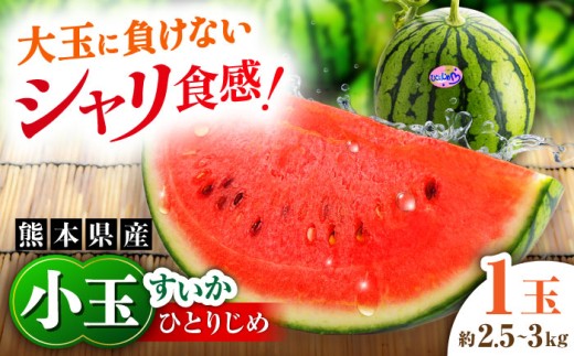 【先行予約】【2027年4月中旬より順次発送】【数量限定】小玉すいか 1玉入（約2.5kg～3kg） 【一般社団法人クラッシーノこうし】 [AYAB023]