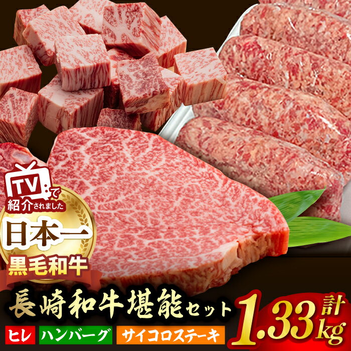 【ふるさと納税】A5ランク ヒレステーキ サイコロステーキ ハンバーグ 総量1kg 1330g セット 長崎和牛【肉のあいかわ】 [NA58] 和牛 牛肉 赤身 ヒレ ステーキ 焼肉 牛肉 サイコロステーキ ハンバーグ