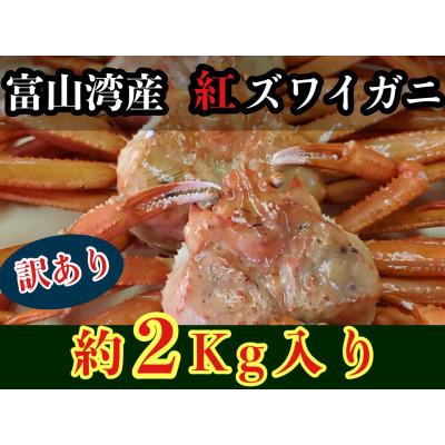 ふるさと納税 魚津市 【訳あり】魚卸問屋のベニズワイガニ　2kg