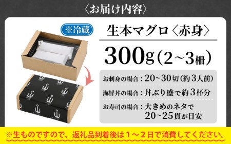 まぐろの王様！生本まぐろ赤身300g [e04-a082] まぐろ 冷蔵まぐろ 生本まぐろ 本まぐろ 黒まぐろ まぐろ赤身 まぐろ刺身 まぐろお取り寄せ マグロ 生本マグロ 本マグロ