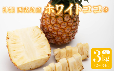 リピーター続出の希少種パイン！　数量限定販売　先行予約　パイナップル　沖縄　西表島　熟鮮ホワイトココ(R)　3㎏　2～3玉　ココナッツに似た香り　果物　フルーツ　デザート