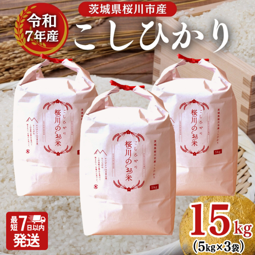 ＼スピード出荷／ 令和7年産 茨城県 桜川市産 こしひかり15kg（5kg×3袋） スピード 最短 7日 すぐ届く すぐ発送 スピード発送 早い [SC011sa-sp]