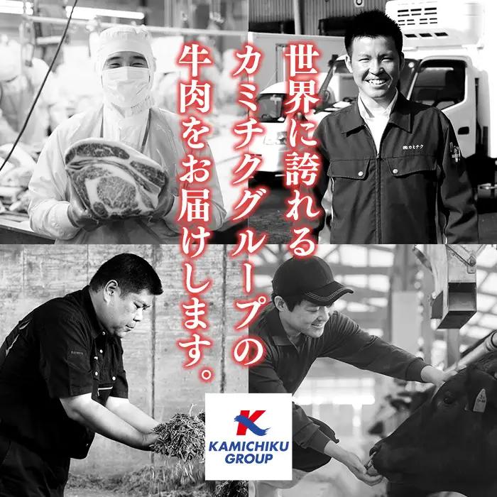 上村牛 ユッケ 17人前 タレ付 牛肉 生食 LRプラスK No.1100-C
