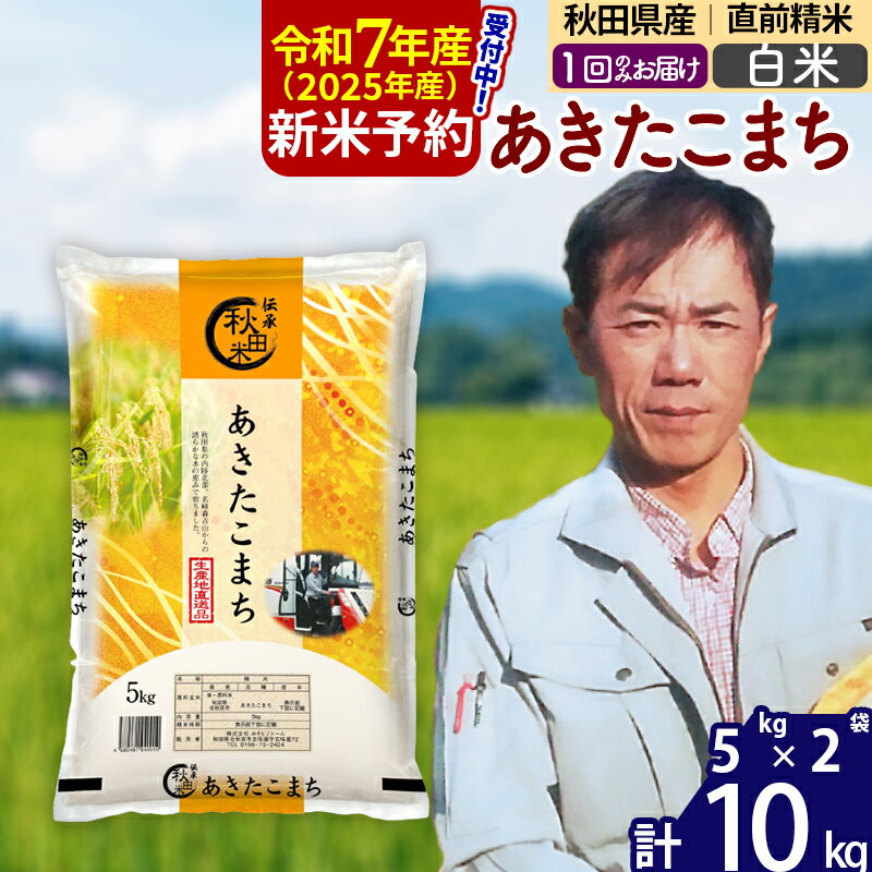 【ふるさと納税】※令和7年産 新米予約※秋田県産 あきたこまち 10kg【白米】(5kg)【1回のみお届け】2025年産 お米 みそらファーム