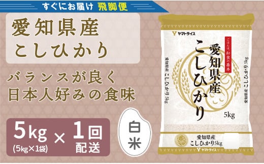 （数量限定）【すぐにお届け&日時指定可】 愛知県産コシヒカリ 5kg　こめ コメ ごはん 安心安全なヤマトライス 米 白米 国産 精米 5キロ 新米 令和7年 H074-687