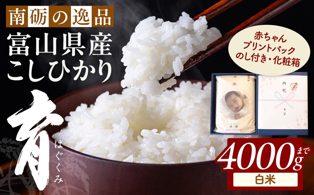 
                  【令和7年産】プリントパック  富山県産こしひかり 　育（はぐくみ）  白米　２kg | お米 こめ 白米 こしひかり コシヒカリ お取り寄せ 産地直送 食品 贈り物 オリジナルパッケージ 結婚 出産 記念品 プレゼント ギフト 人気 おすすめ 送料無料
                