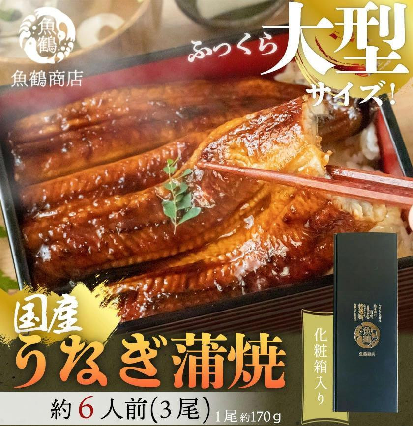 
大型サイズ　ふっくら柔らか　国産うなぎ蒲焼き　3尾　化粧箱入【秋土用の丑の日のうなぎ】【～10月28日までにお届け】【UT06】
