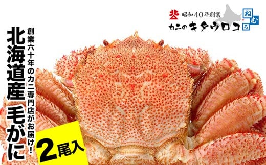 C-25026 毛がに550g～650g前後×2尾
