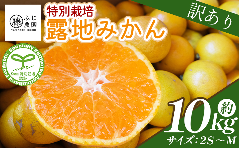 ふじ農園の露地みかん 訳あり品 10kg (2S～M) - 国産 蜜柑 ミカン 柑橘 果物 フルーツ 訳アリ ご家庭用 家庭用 自宅用 ふじ農園 高知県 香南市 常温 fn-0006
