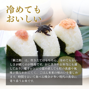 【1月下旬より配送】上越市産 新潟 新之助 5kg 3か月定期便 しんのすけお米 精米 米 ご飯 定期