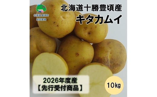 北海道十勝豊頃産キタカムイ約10kg 【2026年秋出荷】（先行受付）［安田農場］