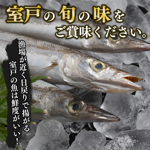 【室戸 干物】 トロ カマス 10枚 海洋深層水仕込み 国産 ひもの 冷凍 配送 ギフト お歳暮に