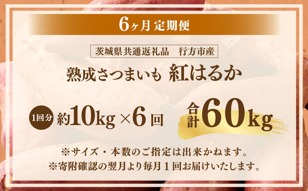 【6ヶ月定期便】“熟成”茨城県産さつまいも【紅はるか】約10kg (茨城県共通返礼品・行方市産）合計約60kg
