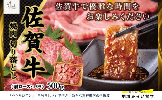
            【セット】佐賀牛 焼肉 切り落とし 肩ロース・バラ 500g
          