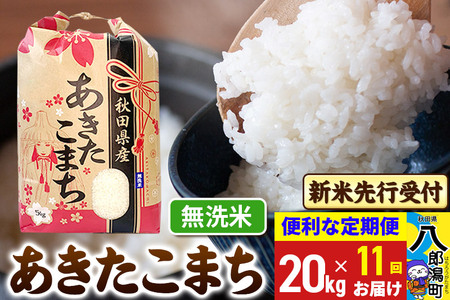 《令和7年産 新米受付》《定期便11ヶ月》あきたこまち 20kg【無洗米】 秋田県産 こまちライン