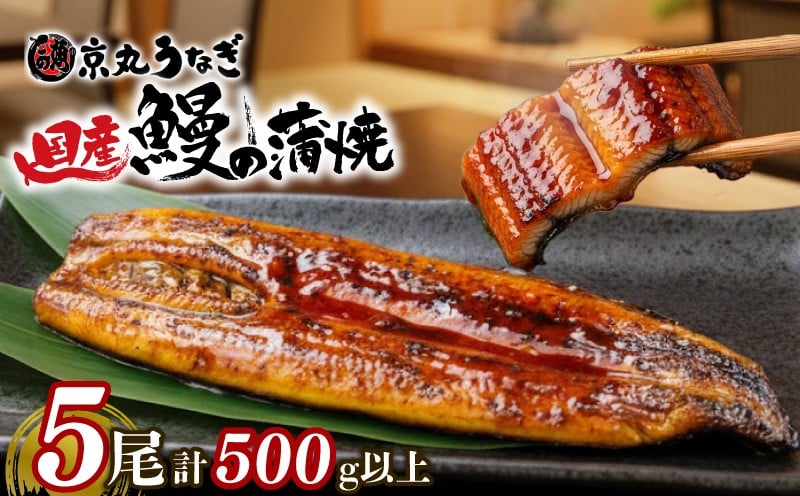 
                  うなぎ 蒲焼 国産 5尾 計約500g以上 静岡 うなぎ処京丸 うなぎ 蒲焼き unagi 鰻 ウナギ 国産うなぎ 国産鰻 国産ウナギ かば焼き 鰻蒲焼 うなぎ蒲焼き うな重 冷凍 土用 丑の日 人気 高級 個包装 小分け ギフト プレゼント おすすめ ランキング おいしい 特別 贅沢 沼津
                