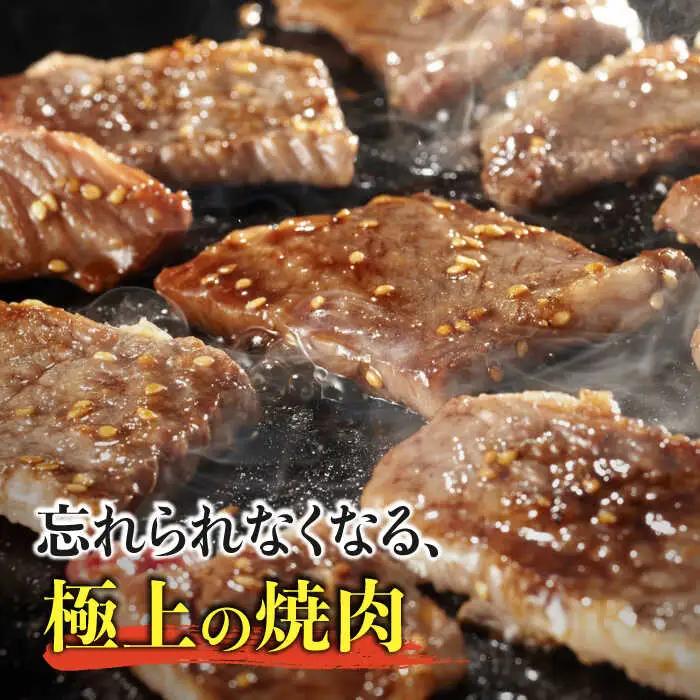 佐賀牛希少部位 おまかせ9種堪能セット1800g 合計1.8kg （9種×200g）焼肉 セット [FAY042]