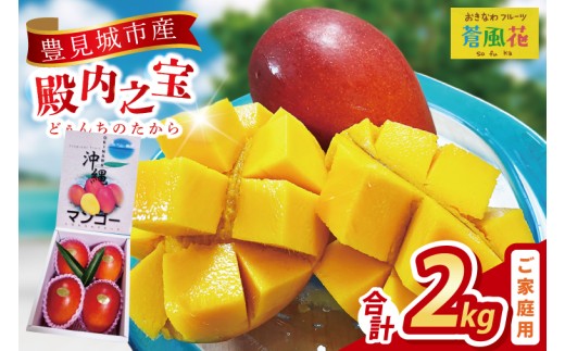 【2026年7月より順次発送】豊見城産マンゴー『殿内之宝(どぅんちのたから)』約2kg(ご家庭用)｜マンゴー フルーツ 果物 くだもの 先行予約 完熟マンゴー 沖縄フルーツ 家庭用 おきなわ 沖縄 沖縄県 豊見城市(DR006)