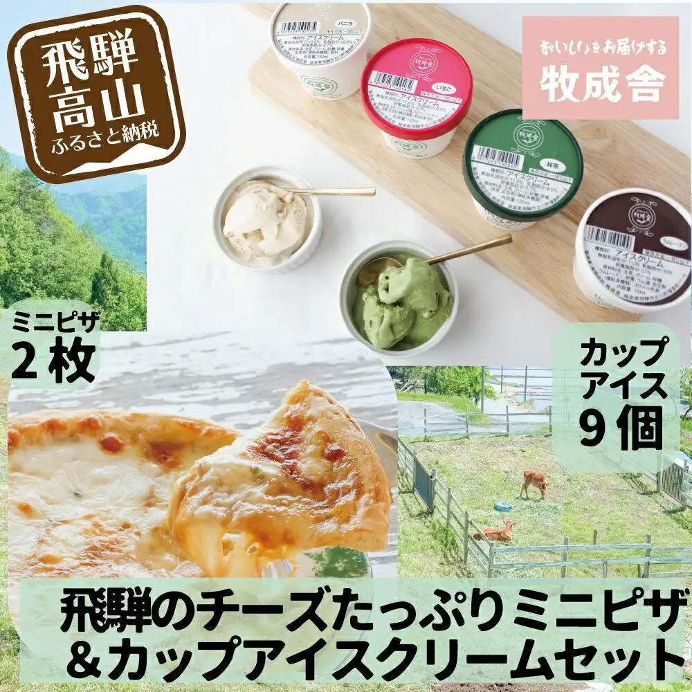 ＜牧成舎＞自家製チーズたっぷりのピザ＆こだわりのカップアイスクリームセット ピザ DF028